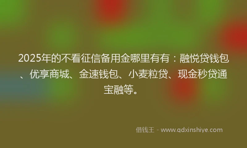 2025年的不看征信备用金哪里有有：融悦贷钱包、优享商城、金速钱包、小麦粒贷、现金秒贷通宝融等。