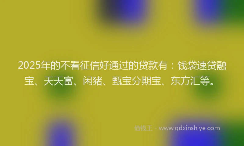 2025年的不看征信好通过的贷款有：钱袋速贷融宝、天天富、闲猪、甄宝分期宝、东方汇等。
