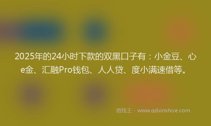 2025年的24小时下款的双黑口子有：小金豆、心e金、汇融Pro钱包、人人贷、度小满速借等。