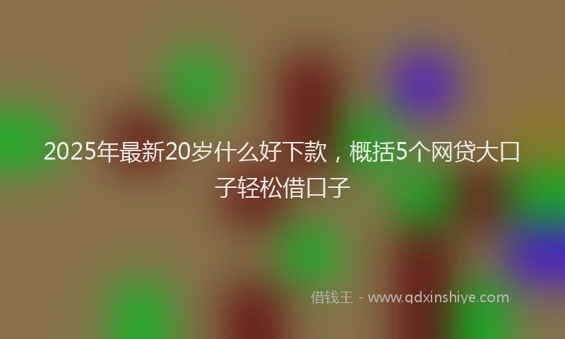 2025年最新20岁什么好下款，概括5个网贷大口子轻松借口子
