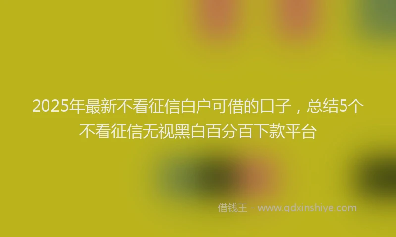 2025年最新不看征信白户可借的口子，总结5个不看征信无视黑白百分百下款平台