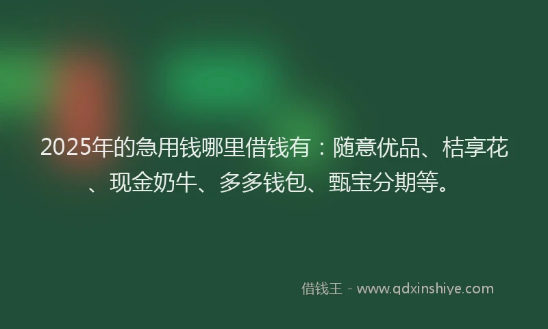 2025年的急用钱哪里借钱有：随意优品、桔享花、现金奶牛、多多钱包、甄宝分期等。