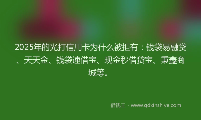 2025年的光打信用卡为什么被拒有：钱袋易融贷、天天金、钱袋速借宝、现金秒借贷宝、秉鑫商城等。