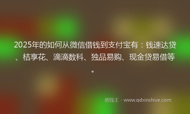 2025年的如何从微信借钱到支付宝有：钱速达贷、桔享花、滴滴数科、独品易购、现金贷易借等。
