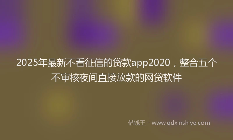 2025年最新不看征信的贷款app2020，整合五个不审核夜间直接放款的网贷软件