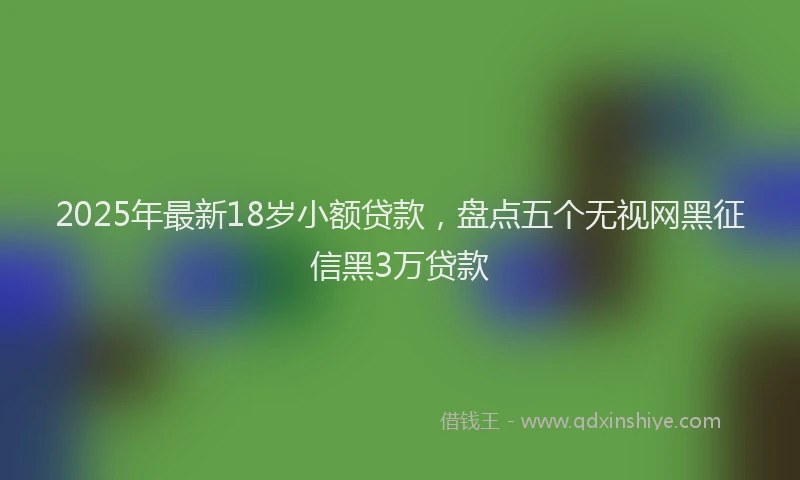 2025年最新18岁小额贷款，盘点五个无视网黑征信黑3万贷款