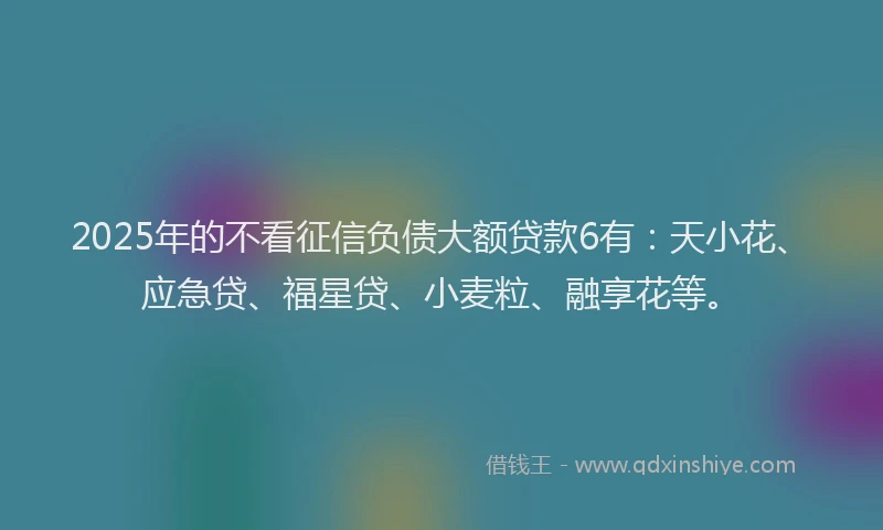 2025年的不看征信负债大额贷款6有：天小花、应急贷、福星贷、小麦粒、融享花等。