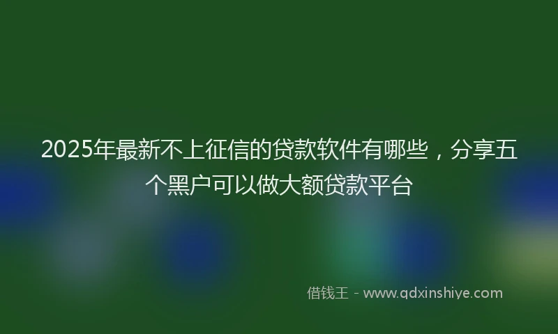 2025年最新不上征信的贷款软件有哪些，分享五个黑户可以做大额贷款平台