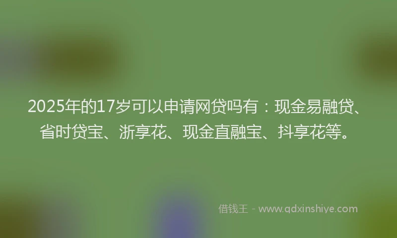 2025年的17岁可以申请网贷吗有：现金易融贷、省时贷宝、浙享花、现金直融宝、抖享花等。