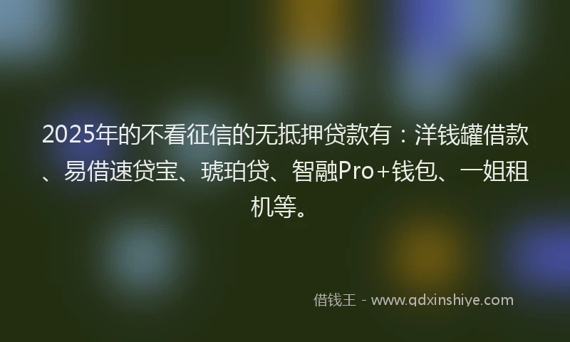 2025年的不看征信的无抵押贷款有：洋钱罐借款、易借速贷宝、琥珀贷、智融Pro+钱包、一姐租机等。