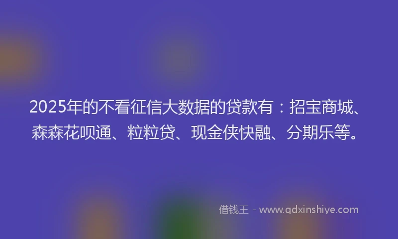 2025年的不看征信大数据的贷款有：招宝商城、森森花呗通、粒粒贷、现金侠快融、分期乐等。