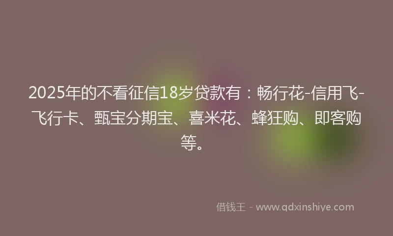 2025年的不看征信18岁贷款有：畅行花-信用飞-飞行卡、甄宝分期宝、喜米花、蜂狂购、即客购等。