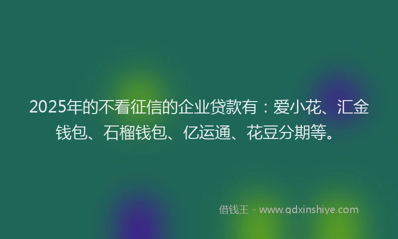 2025年的不看征信的企业贷款有：爱小花、汇金钱包、石榴钱包、亿运通、花豆分期等。