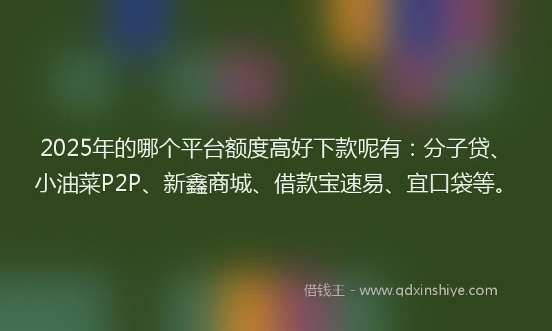 2025年的哪个平台额度高好下款呢有：分子贷、小油菜P2P、新鑫商城、借款宝速易、宜口袋等。
