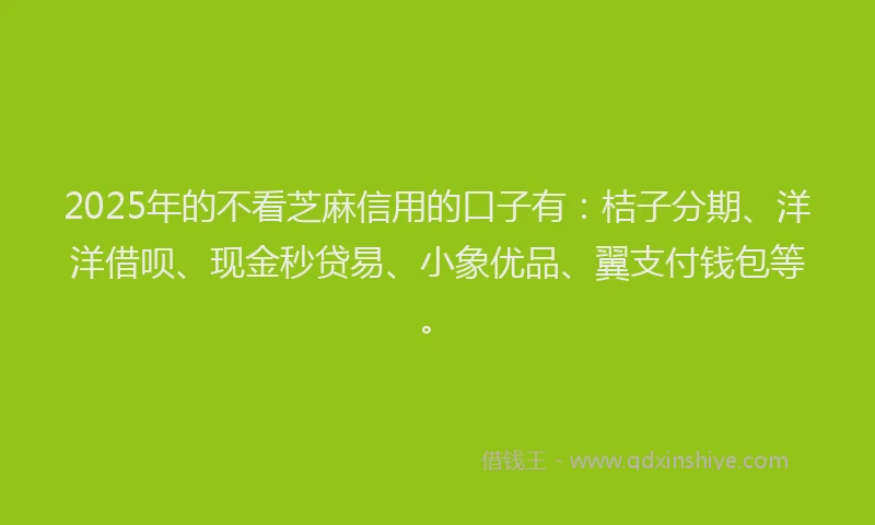 2025年的不看芝麻信用的口子有：桔子分期、洋洋借呗、现金秒贷易、小象优品、翼支付钱包等。