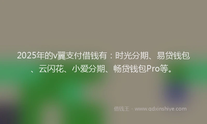 2025年的v翼支付借钱有：时光分期、易贷钱包、云闪花、小爱分期、畅贷钱包Pro等。