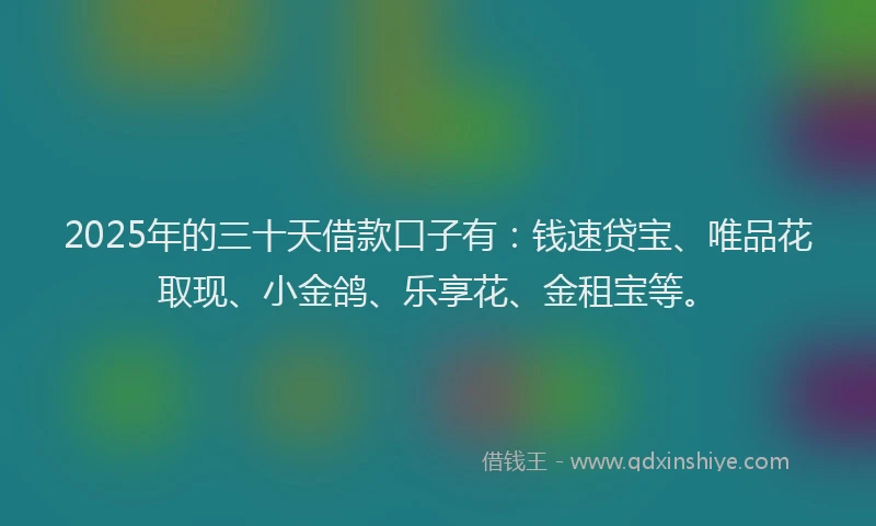 2025年的三十天借款口子有：钱速贷宝、唯品花取现、小金鸽、乐享花、金租宝等。