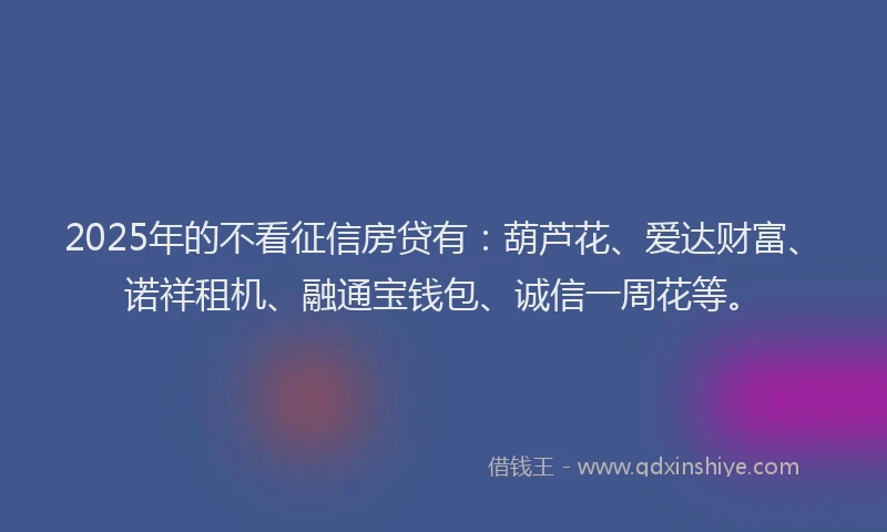 2025年的不看征信房贷有：葫芦花、爱达财富、诺祥租机、融通宝钱包、诚信一周花等。