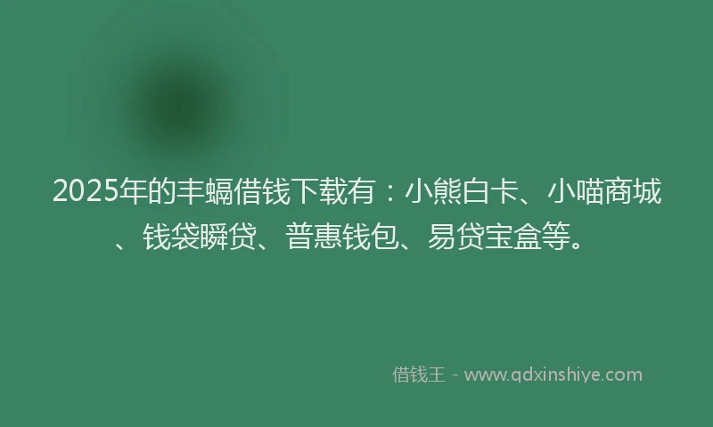 2025年的丰螎借钱下载有：小熊白卡、小喵商城、钱袋瞬贷、普惠钱包、易贷宝盒等。