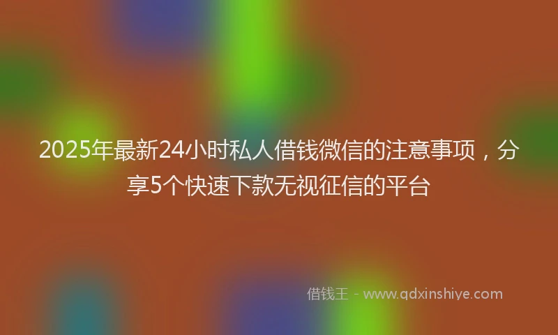 2025年最新24小时私人借钱微信的注意事项，分享5个快速下款无视征信的平台