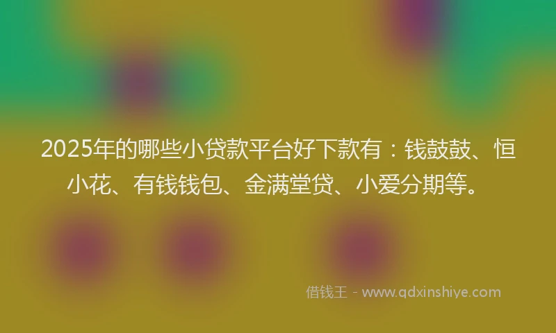 2025年的哪些小贷款平台好下款有：钱鼓鼓、恒小花、有钱钱包、金满堂贷、小爱分期等。