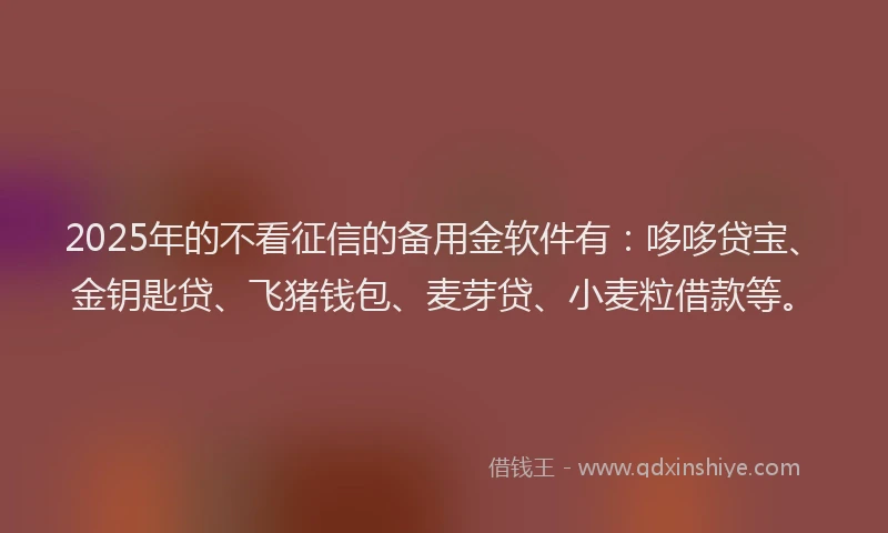 2025年的不看征信的备用金软件有：哆哆贷宝、金钥匙贷、飞猪钱包、麦芽贷、小麦粒借款等。