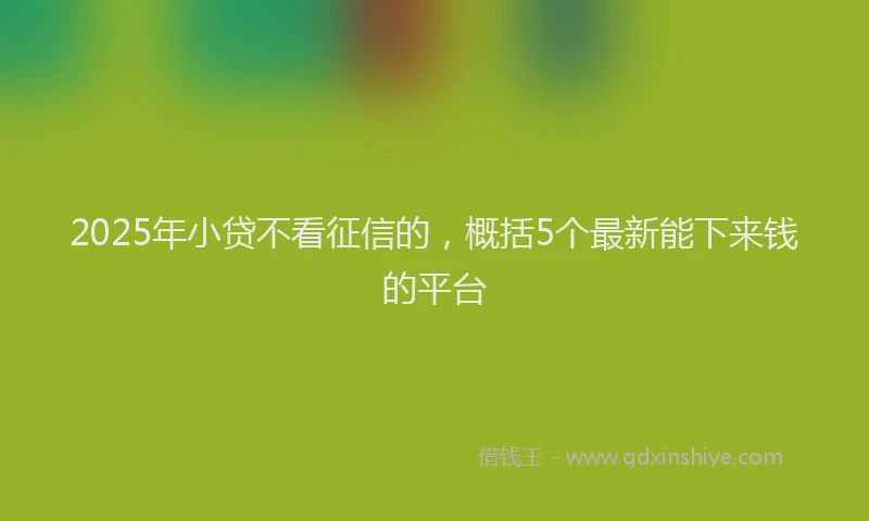 2025年小贷不看征信的，概括5个最新能下来钱的平台