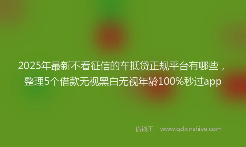 2025年最新不看征信的车抵贷正规平台有哪些，整理5个借款无视黑白无视年龄100%秒过app