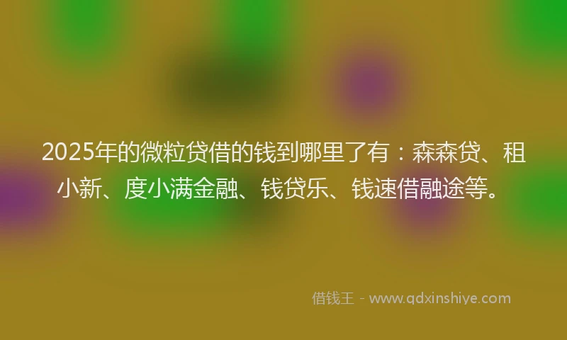 2025年的微粒贷借的钱到哪里了有：森森贷、租小新、度小满金融、钱贷乐、钱速借融途等。
