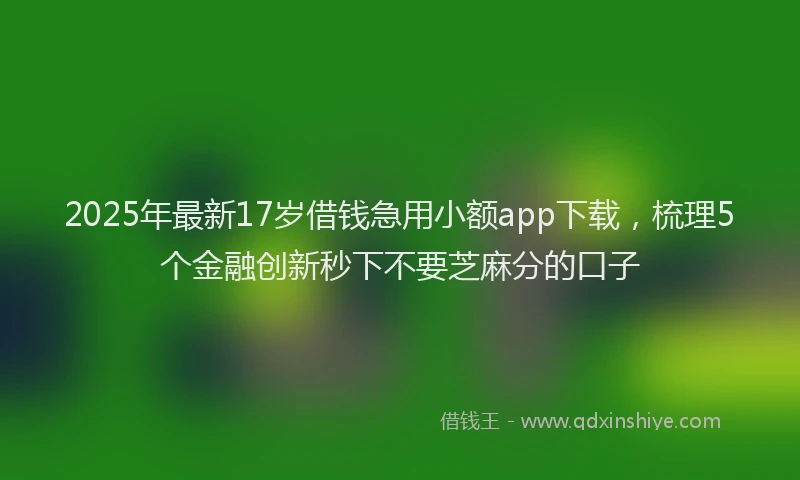 2025年最新17岁借钱急用小额app下载，梳理5个金融创新秒下不要芝麻分的口子