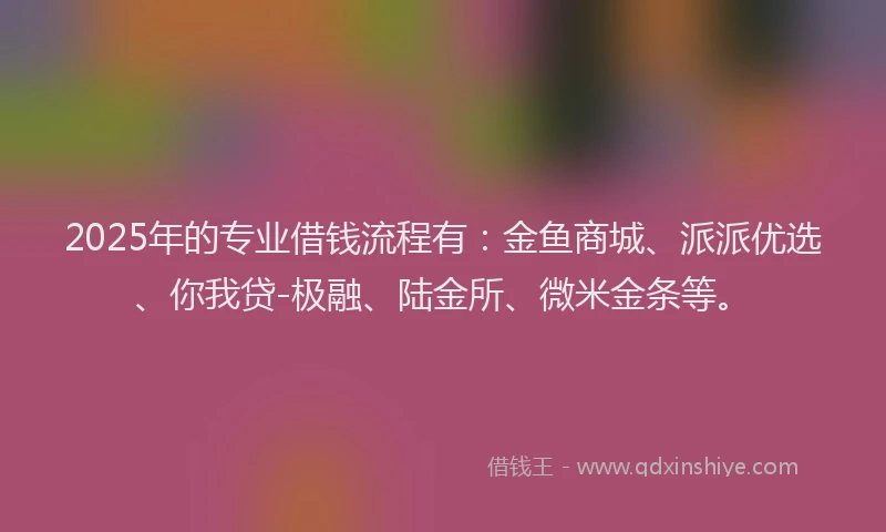 2025年的专业借钱流程有：金鱼商城、派派优选、你我贷-极融、陆金所、微米金条等。