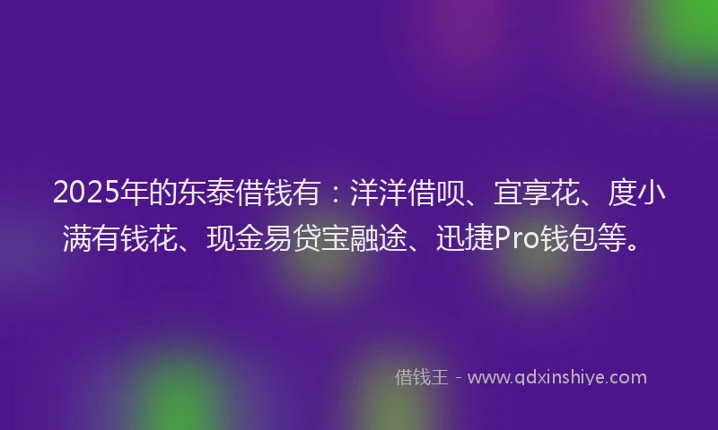 2025年的东泰借钱有：洋洋借呗、宜享花、度小满有钱花、现金易贷宝融途、迅捷Pro钱包等。