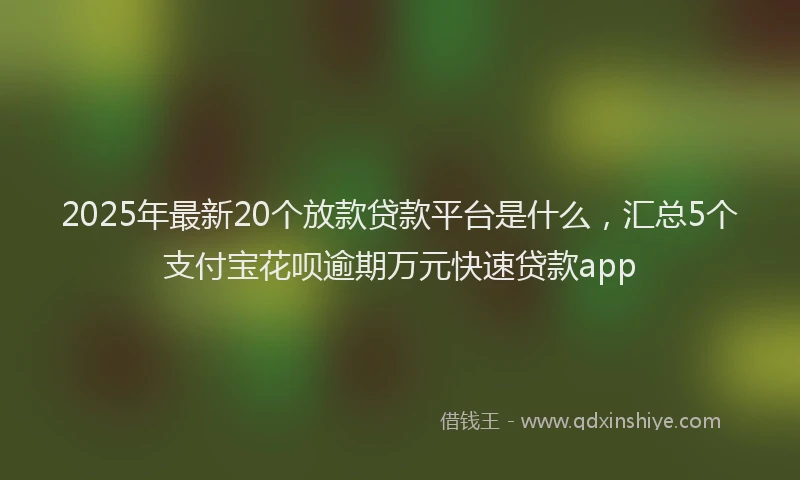 2025年最新20个放款贷款平台是什么，汇总5个支付宝花呗逾期万元快速贷款app