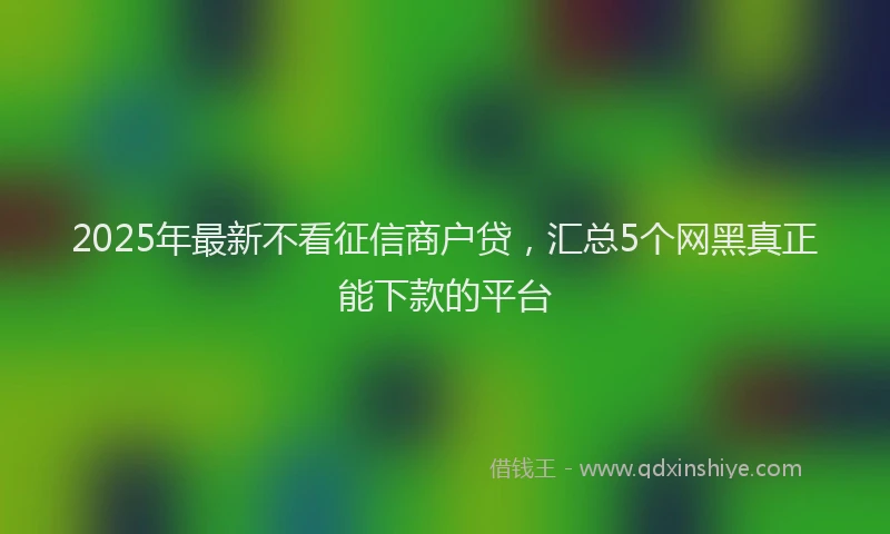 2025年最新不看征信商户贷，汇总5个网黑真正能下款的平台