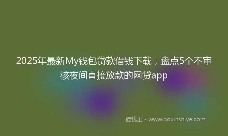 2025年最新My钱包贷款借钱下载，盘点5个不审核夜间直接放款的网贷app