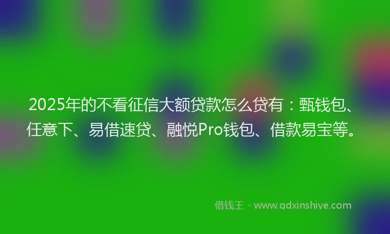 2025年的不看征信大额贷款怎么贷有：甄钱包、任意下、易借速贷、融悦Pro钱包、借款易宝等。
