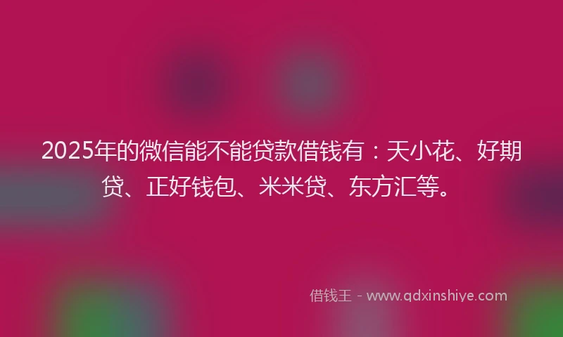 2025年的微信能不能贷款借钱有：天小花、好期贷、正好钱包、米米贷、东方汇等。