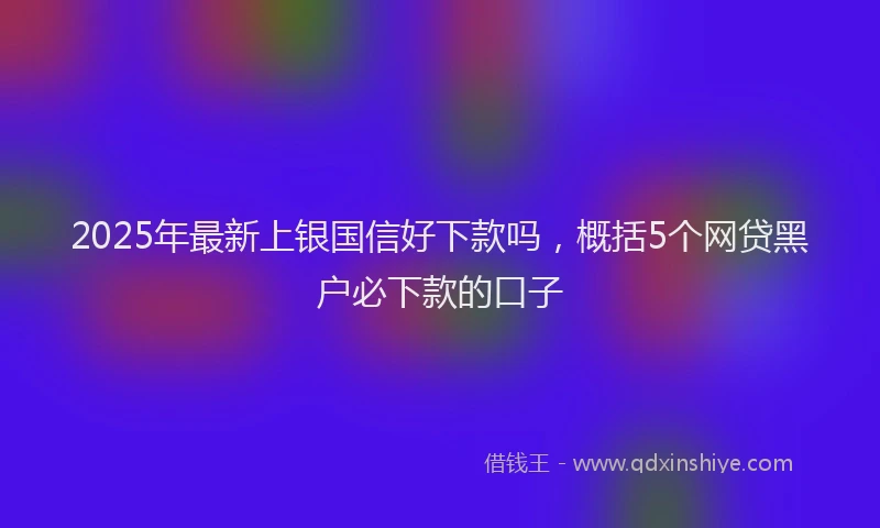 2025年最新上银国信好下款吗，概括5个网贷黑户必下款的口子