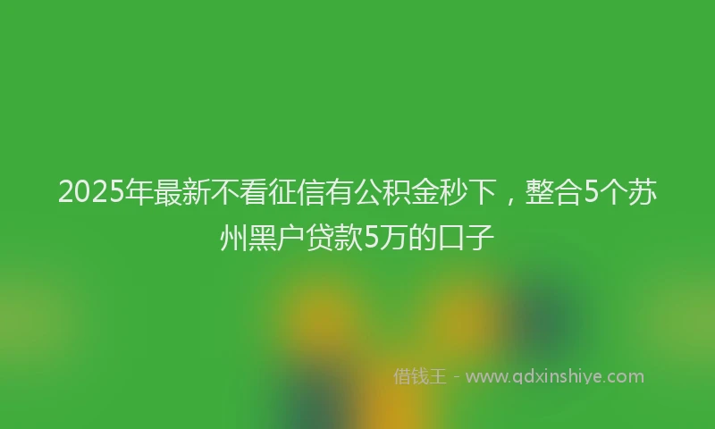 2025年最新不看征信有公积金秒下，整合5个苏州黑户贷款5万的口子