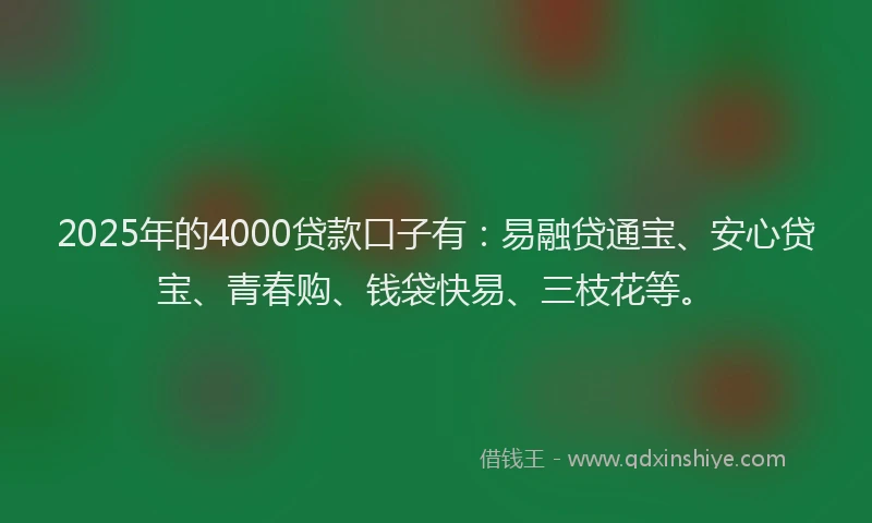 2025年的4000贷款口子有：易融贷通宝、安心贷宝、青春购、钱袋快易、三枝花等。