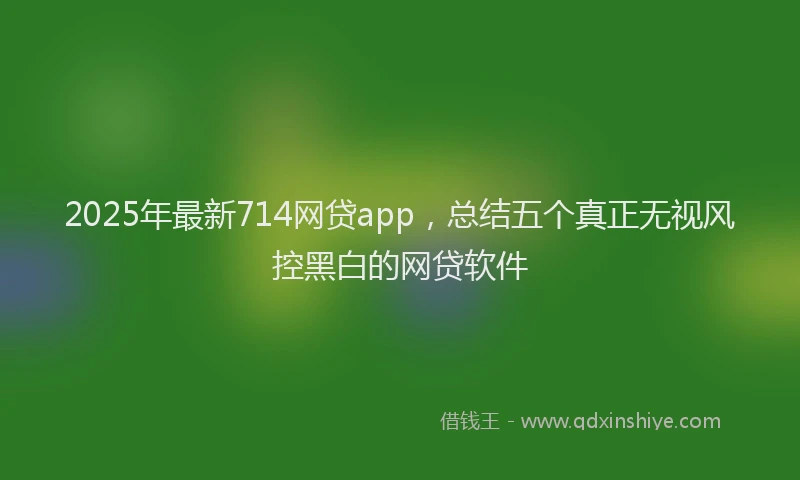 2025年最新714网贷app，总结五个真正无视风控黑白的网贷软件