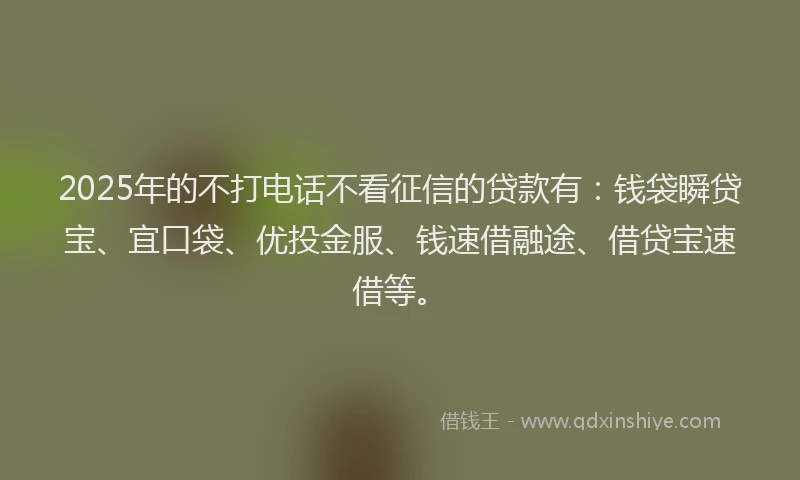 2025年的不打电话不看征信的贷款有：钱袋瞬贷宝、宜口袋、优投金服、钱速借融途、借贷宝速借等。