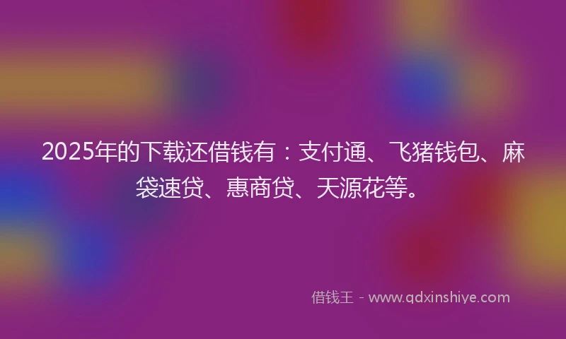 2025年的下载还借钱有：支付通、飞猪钱包、麻袋速贷、惠商贷、天源花等。