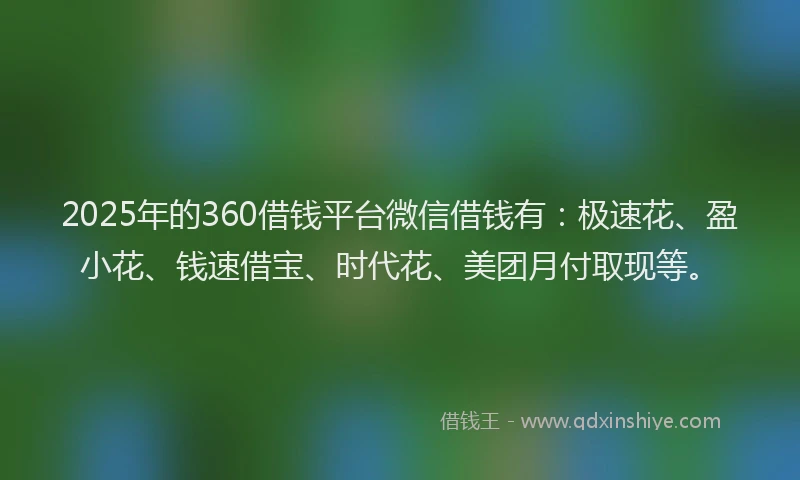 2025年的360借钱平台微信借钱有：极速花、盈小花、钱速借宝、时代花、美团月付取现等。