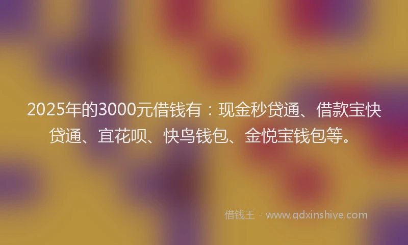 2025年的3000元借钱有：现金秒贷通、借款宝快贷通、宜花呗、快鸟钱包、金悦宝钱包等。
