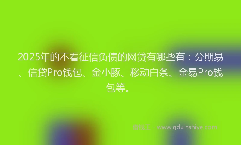 2025年的不看征信负债的网贷有哪些有：分期易、信贷Pro钱包、金小豚、移动白条、金易Pro钱包等。