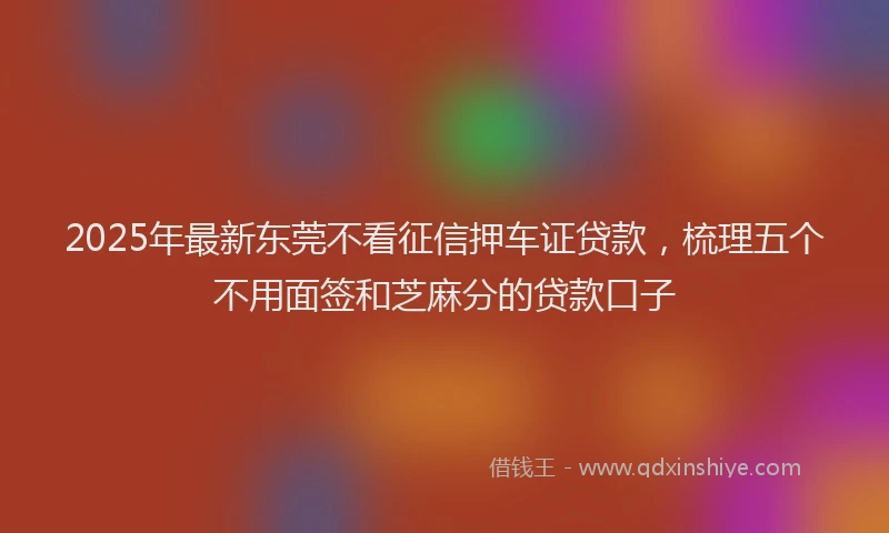 2025年最新东莞不看征信押车证贷款，梳理五个不用面签和芝麻分的贷款口子