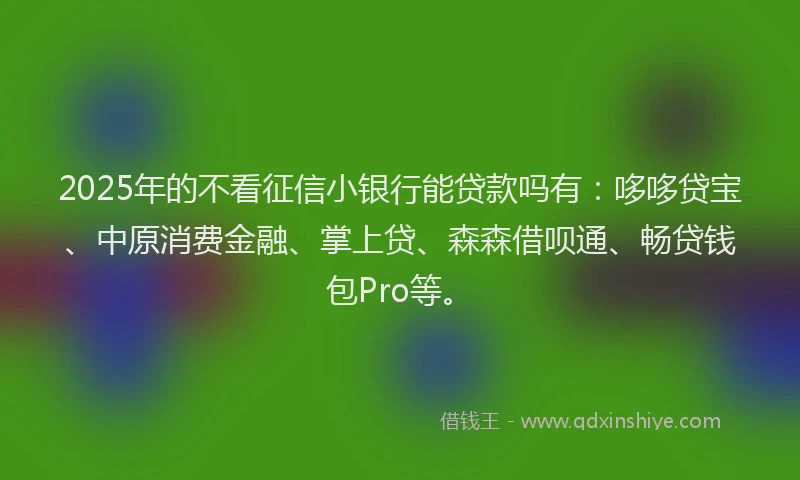 2025年的不看征信小银行能贷款吗有：哆哆贷宝、中原消费金融、掌上贷、森森借呗通、畅贷钱包Pro等。