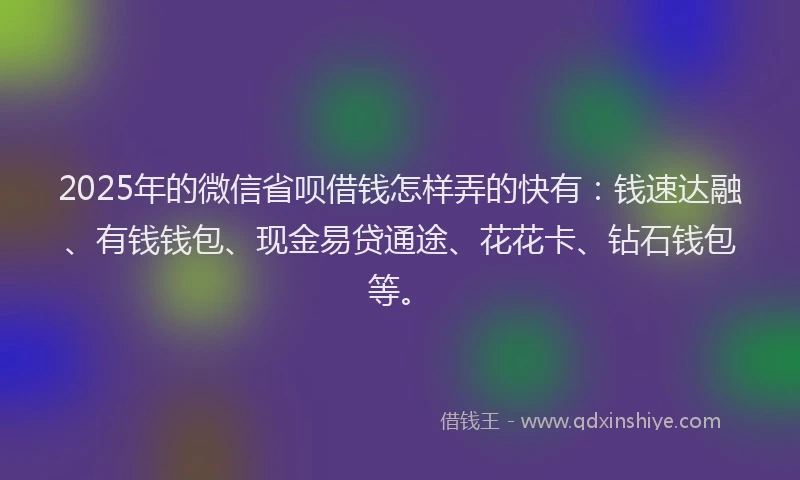 2025年的微信省呗借钱怎样弄的快有：钱速达融、有钱钱包、现金易贷通途、花花卡、钻石钱包等。