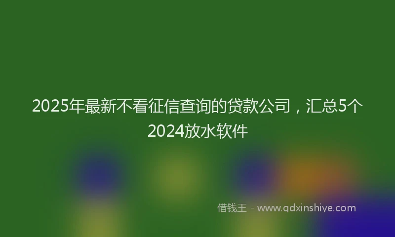 2025年最新不看征信查询的贷款公司，汇总5个2024放水软件
